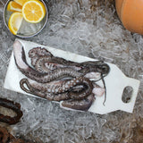 Octopus
