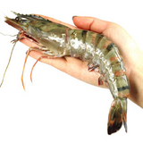 SM Prawn Whole Black Tiger 8/12