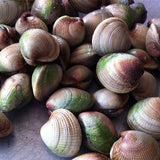 Live Cockles