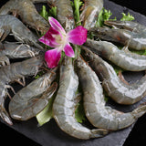 YY Frozen Whole Raw Van Prawn 30/40