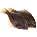 Fresh Chilled Flounder (coming-soon)