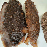 Dry Sea Cucumber