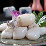 Nishin baby Cuttlefish