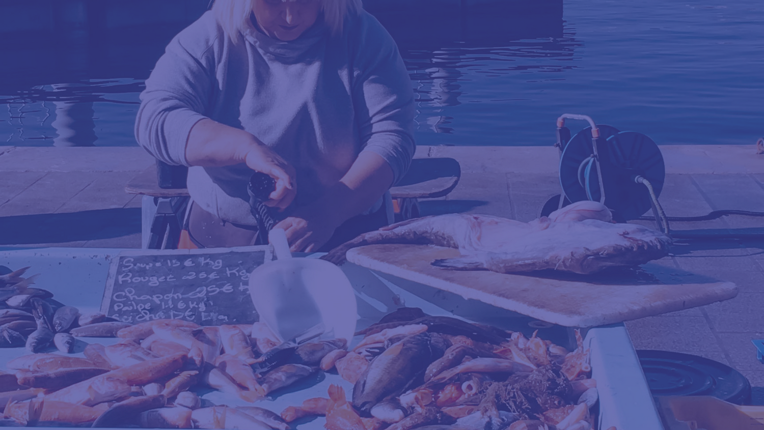 We Care About Healthy and Eco-friendly Fish