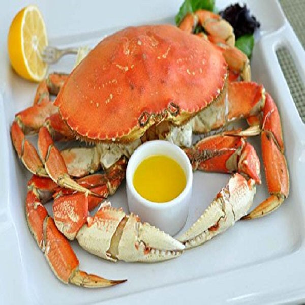 USA DUNGENESS CRAB  （Frozen）1kg