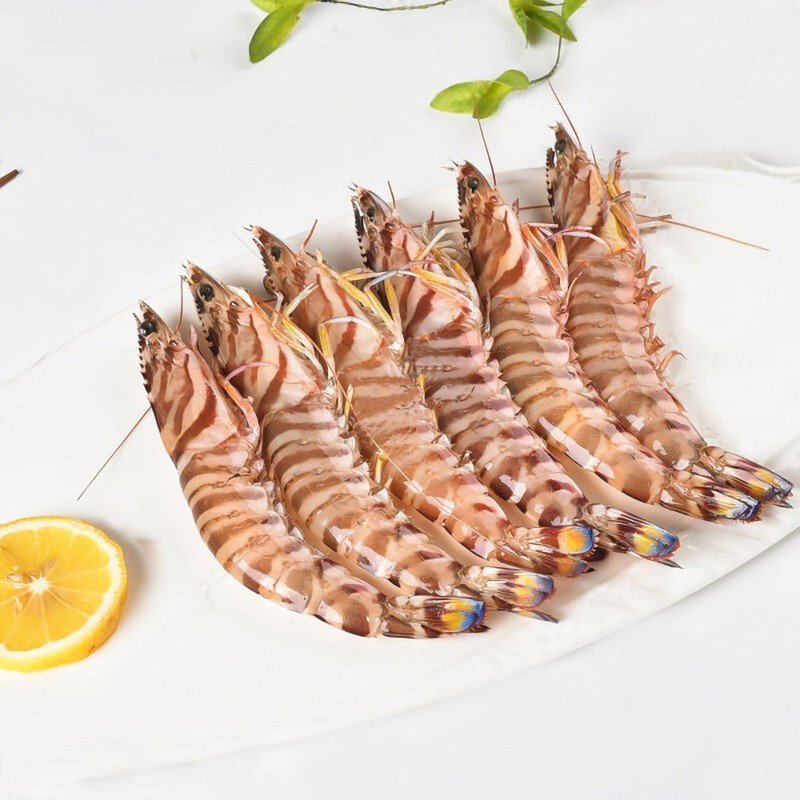 Wild Cought Kuruma Prawn  800g