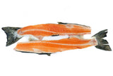新鮮國王鮭魚片