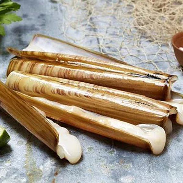 Razor Clams