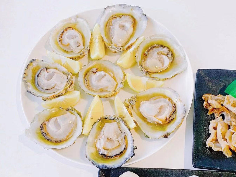 Bluff oysters – New Zealand Live Fish Market