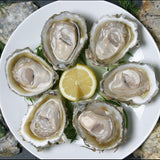 Bluff oysters