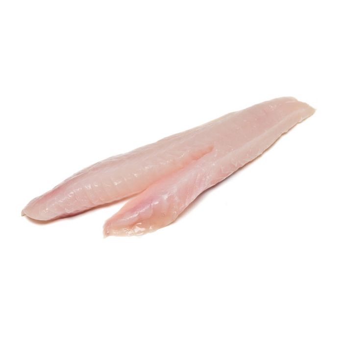 蝴蝶魚特價