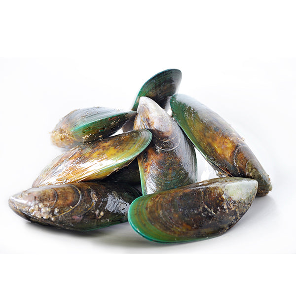 Fresh Live Green Lipped Mussels